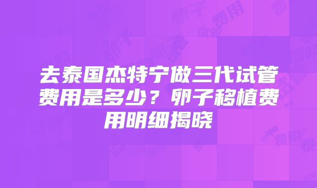 去泰国杰特宁做三代试管费用是多少？卵子移植费用明细揭晓