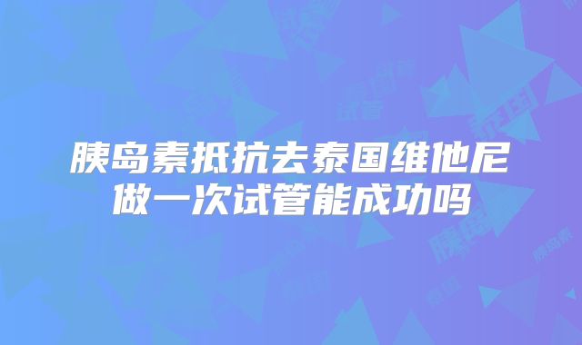 胰岛素抵抗去泰国维他尼做一次试管能成功吗