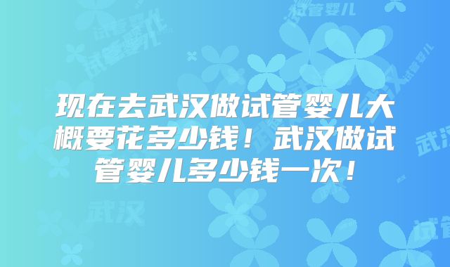 现在去武汉做试管婴儿大概要花多少钱！武汉做试管婴儿多少钱一次！
