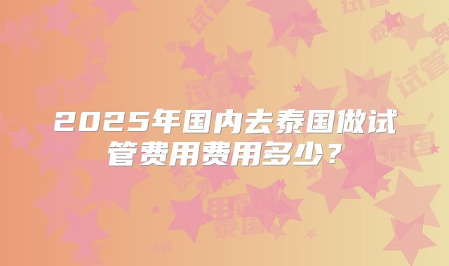 2025年国内去泰国做试管费用费用多少?