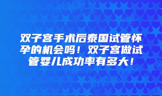 双子宫手术后泰国试管怀孕的机会吗！双子宫做试管婴儿成功率有多大！