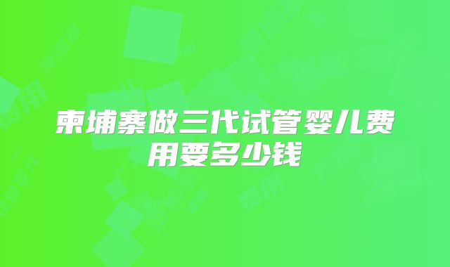 柬埔寨做三代试管婴儿费用要多少钱