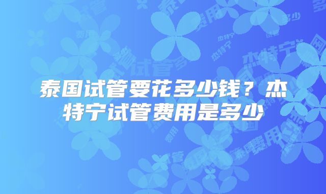 泰国试管要花多少钱？杰特宁试管费用是多少