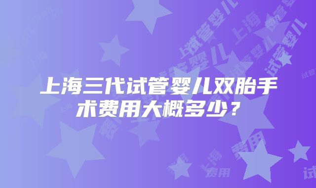 上海三代试管婴儿双胎手术费用大概多少？