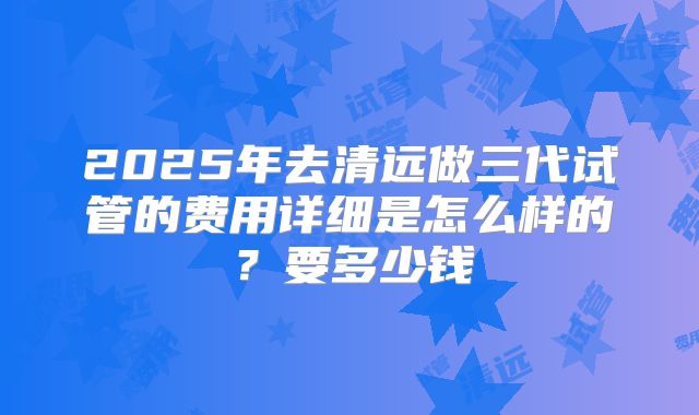 2025年去清远做三代试管的费用详细是怎么样的？要多少钱