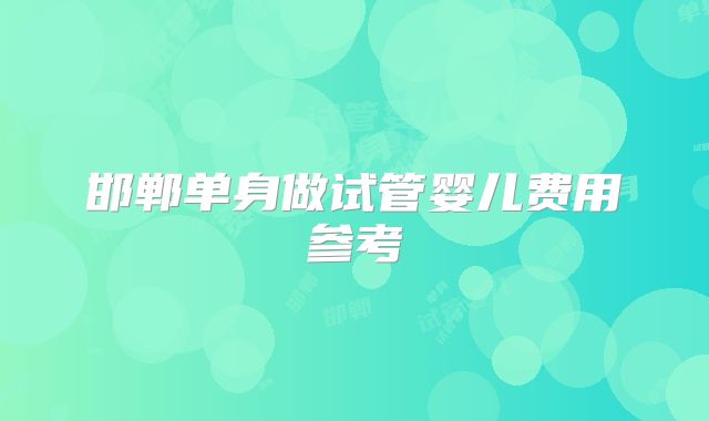 邯郸单身做试管婴儿费用参考