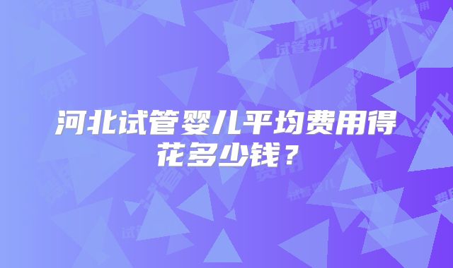 河北试管婴儿平均费用得花多少钱？