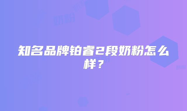 知名品牌铂睿2段奶粉怎么样?