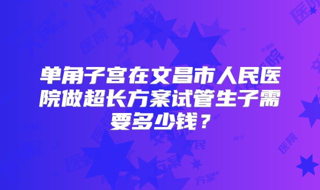 单角子宫在文昌市人民医院做超长方案试管生子需要多少钱?