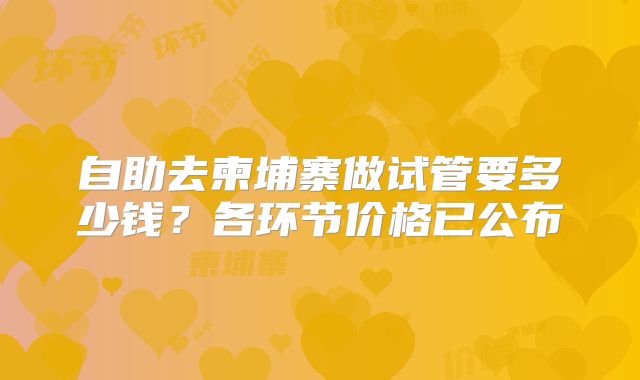 自助去柬埔寨做试管要多少钱?各环节价格已公布