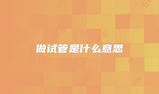 做试管是什么意思