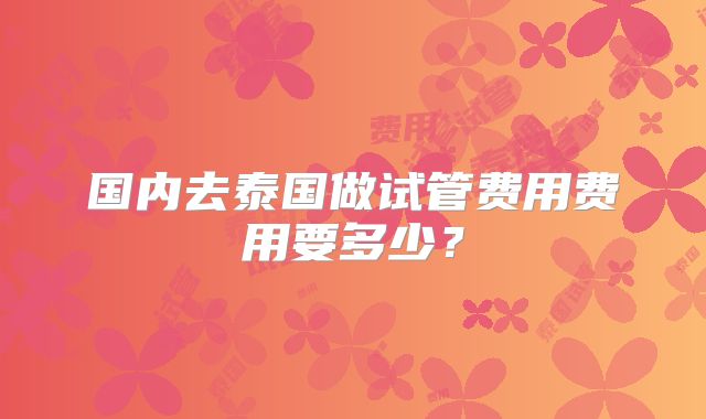 国内去泰国做试管费用费用要多少？