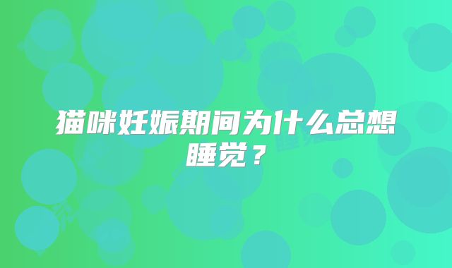 猫咪妊娠期间为什么总想睡觉？