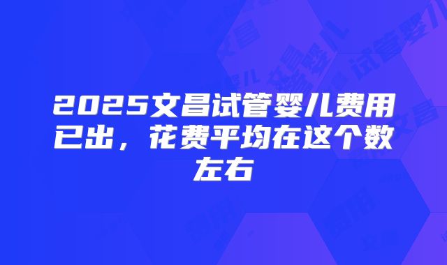 2025文昌试管婴儿费用已出，花费平均在这个数左右