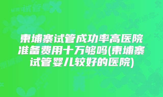 柬埔寨试管成功率高医院准备费用十万够吗(柬埔寨试管婴儿较好的医院)