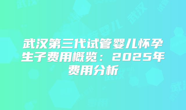 武汉第三代试管婴儿怀孕生子费用概览：2025年费用分析