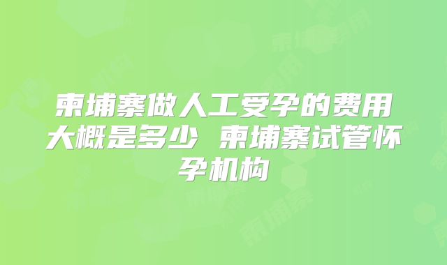 柬埔寨做人工受孕的费用大概是多少 柬埔寨试管怀孕机构
