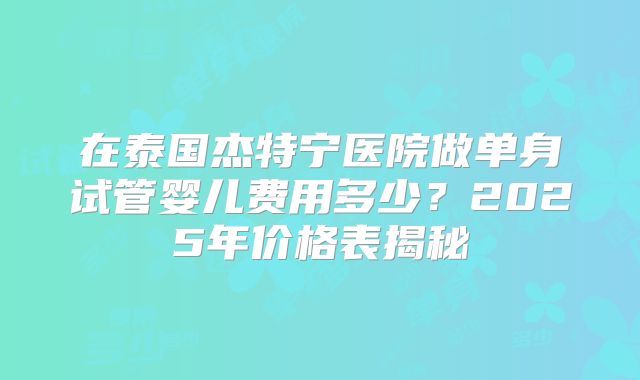 在泰国杰特宁医院做单身试管婴儿费用多少？2025年价格表揭秘