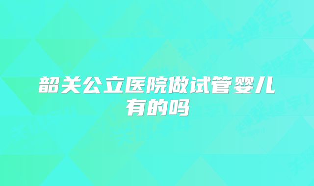 韶关公立医院做试管婴儿有的吗