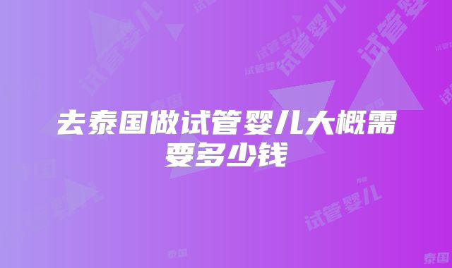 去泰国做试管婴儿大概需要多少钱