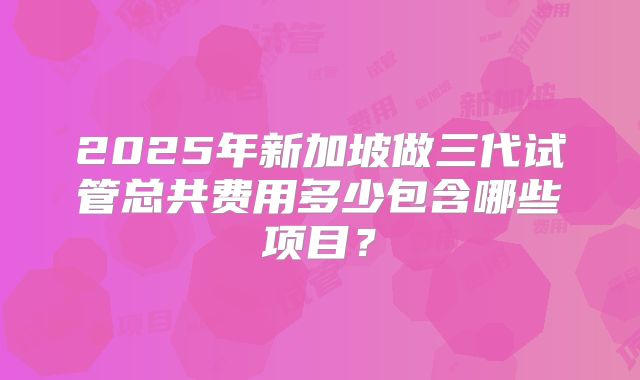 2025年新加坡做三代试管总共费用多少包含哪些项目？