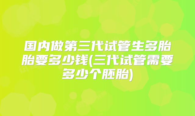 国内做第三代试管生多胎胎要多少钱(三代试管需要多少个胚胎)