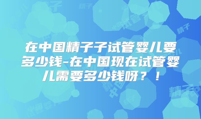 在中国精子子试管婴儿要多少钱-在中国现在试管婴儿需要多少钱呀?!