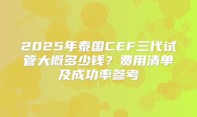 2025年泰国CEF三代试管大概多少钱？费用清单及成功率参考