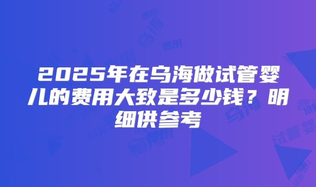2025年在乌海做试管婴儿的费用大致是多少钱？明细供参考