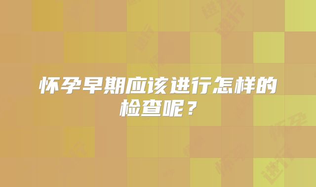 怀孕早期应该进行怎样的检查呢?