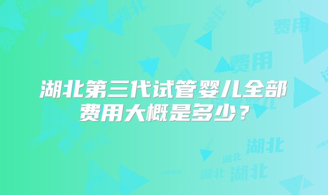 湖北第三代试管婴儿全部费用大概是多少？