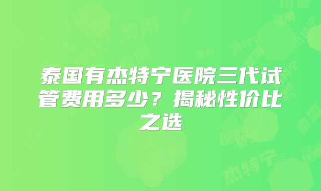 泰国有杰特宁医院三代试管费用多少?揭秘性价比之选