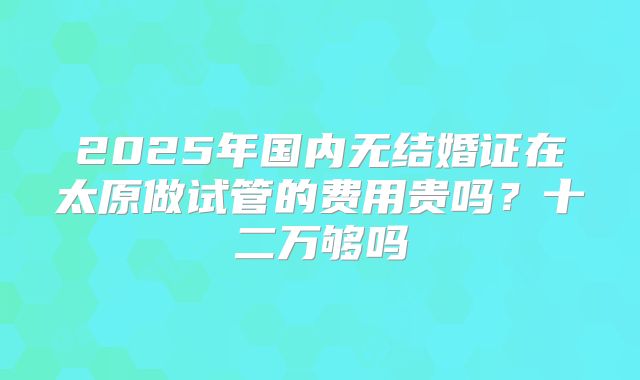 2025年国内无结婚证在太原做试管的费用贵吗？十二万够吗
