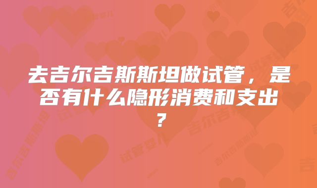 去吉尔吉斯斯坦做试管，是否有什么隐形消费和支出？