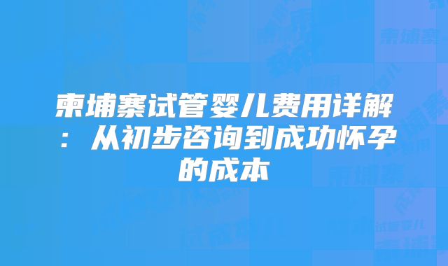 柬埔寨试管婴儿费用详解：从初步咨询到成功怀孕的成本