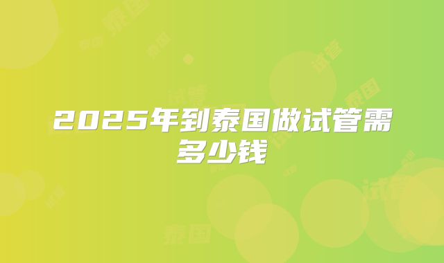 2025年到泰国做试管需多少钱