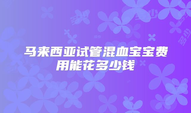 马来西亚试管混血宝宝费用能花多少钱