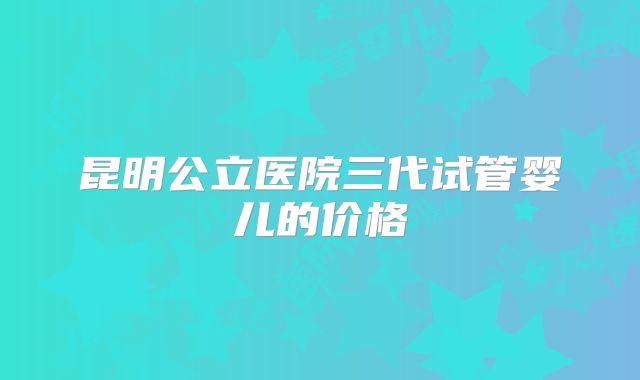 昆明公立医院三代试管婴儿的价格