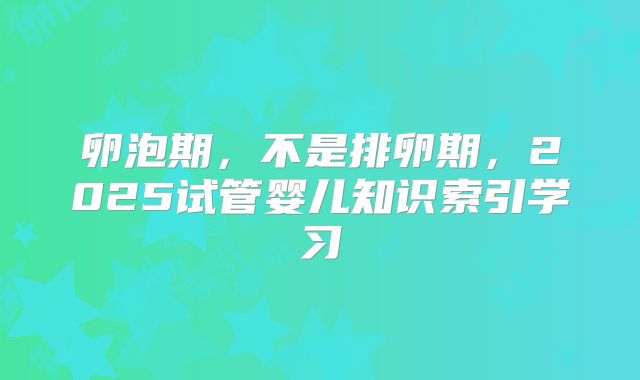 卵泡期,不是排卵期,2025试管婴儿知识索引学习