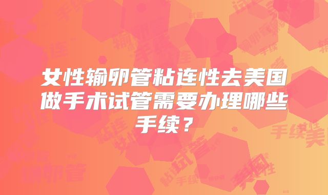 女性输卵管粘连性去美国做手术试管需要办理哪些手续？