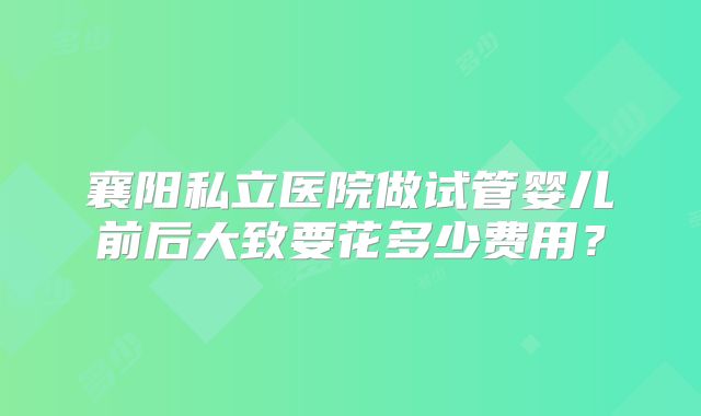 襄阳私立医院做试管婴儿前后大致要花多少费用？
