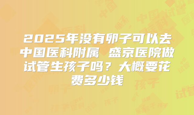2025年没有卵子可以去中国医科附属 盛京医院做试管生孩子吗？大概要花费多少钱
