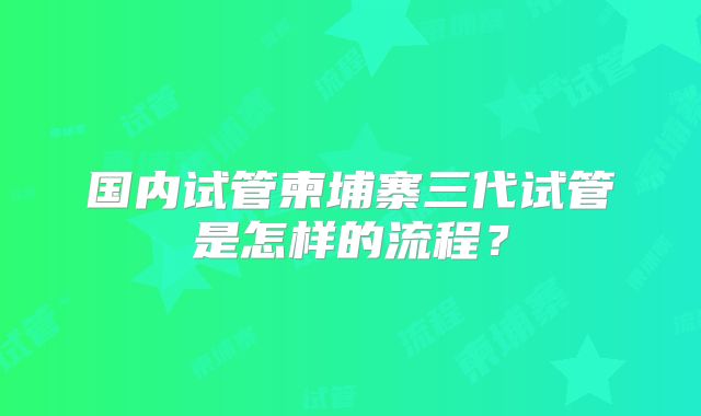 国内试管柬埔寨三代试管是怎样的流程？