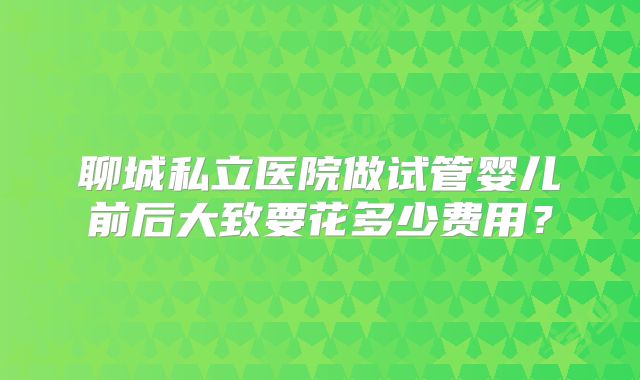 聊城私立医院做试管婴儿前后大致要花多少费用？