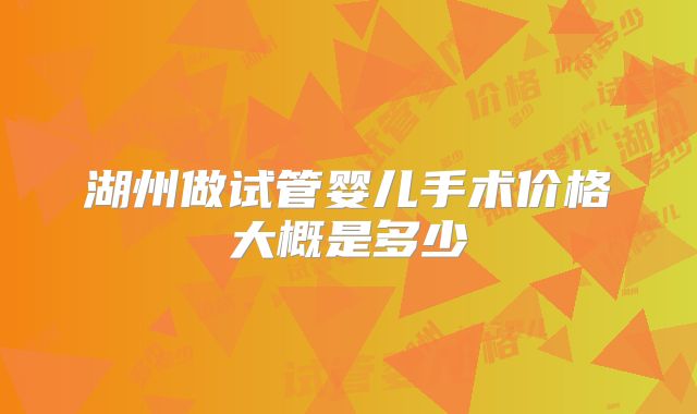 湖州做试管婴儿手术价格大概是多少