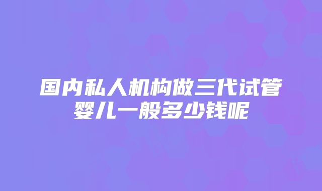 国内私人机构做三代试管婴儿一般多少钱呢