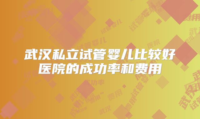 武汉私立试管婴儿比较好医院的成功率和费用