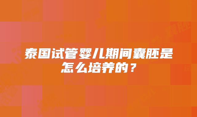 泰国试管婴儿期间囊胚是怎么培养的？