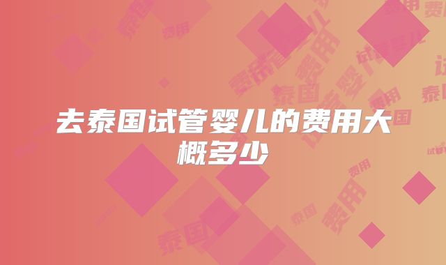 去泰国试管婴儿的费用大概多少