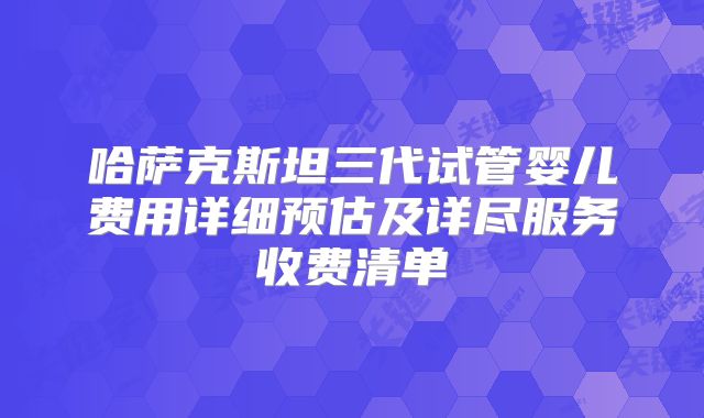 哈萨克斯坦三代试管婴儿费用详细预估及详尽服务收费清单